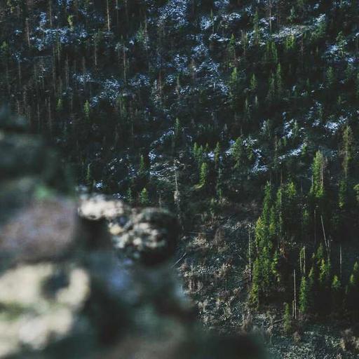 Rahasia Backpacker Profesional dalam Mengatur Pengeluaran