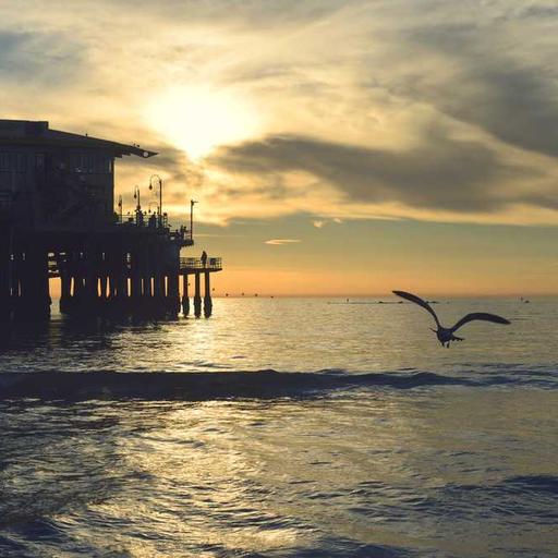 Tips Sukses dalam Wawancara Kerja Pertama